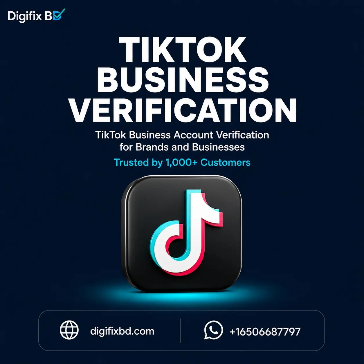 TikTok Business Verify